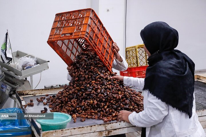 از نگاه رسانه/ طرح‌های اشتغال برکت در استان خوزستان