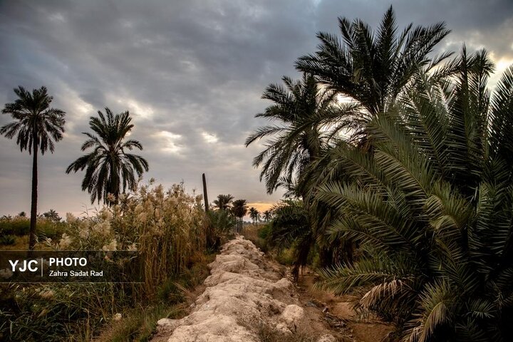 از نگاه رسانه/ طرح‌های اشتغال برکت در استان خوزستان