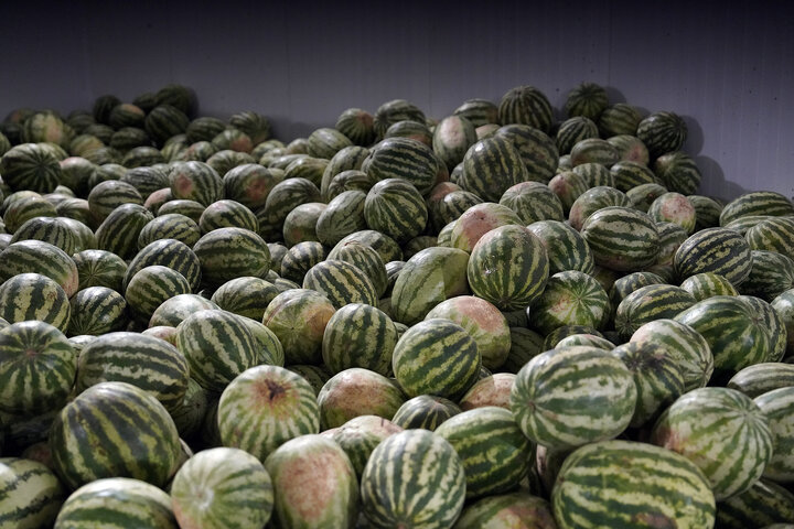 بازدید فتاح از روند خدمت‌رسانی ستاد اجرایی فرمان امام در مرز مهران