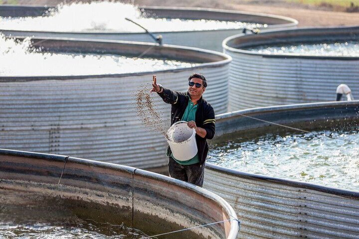 اجرای بیش از ۳۰ هزار طرح اشتغال‌زایی در مناطق محروم توسط ستاد اجرایی فرمان امام/ ایجاد زنجیره ارزش محصولات منتخب با مدل «هر روستا یک محصول»