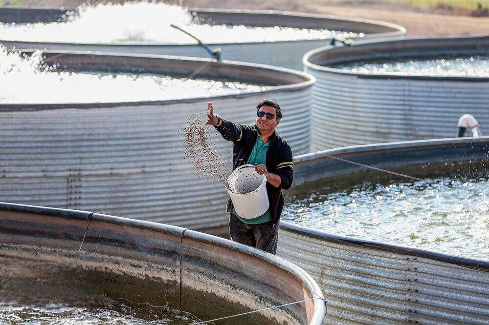 اجرای بیش از ۳۰ هزار طرح اشتغال‌زایی در مناطق محروم توسط ستاد اجرایی فرمان امام/ ایجاد زنجیره ارزش محصولات منتخب با مدل «هر روستا یک محصول»