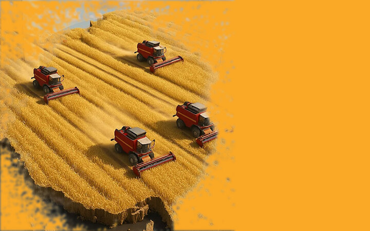 امنیت غذایی با توسعه کشت و دام