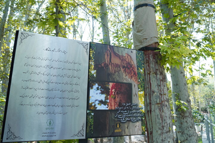 بازدید رئیس ستاد اجرایی فرمان امام و وزیر میراث فرهنگی از آثار حمله دشمن به مجموعه تاریخی سعدآباد
